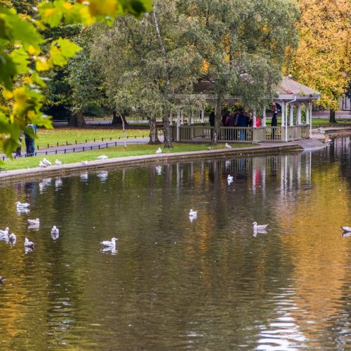 The Stephens Green pond