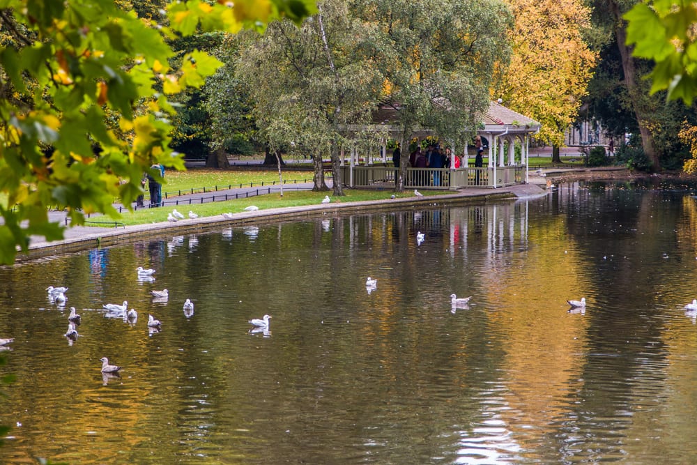 The Stephens Green pond