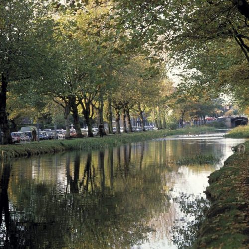 Dublin City-Grand Canal