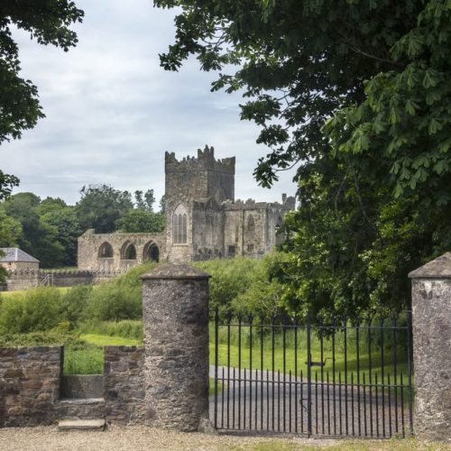 Cistercian Abbey ireland