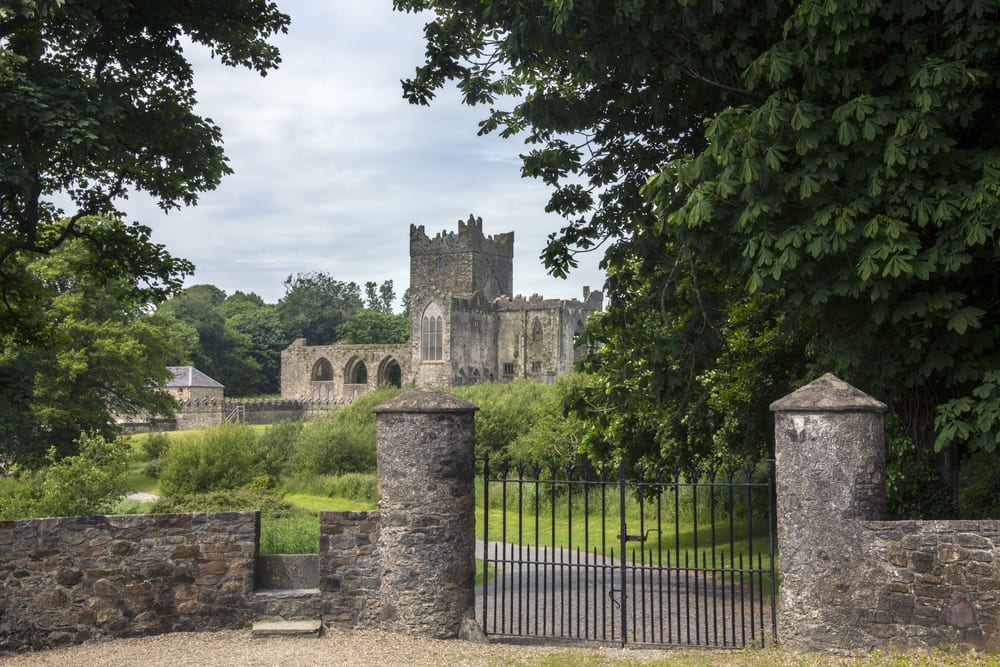 Cistercian Abbey ireland