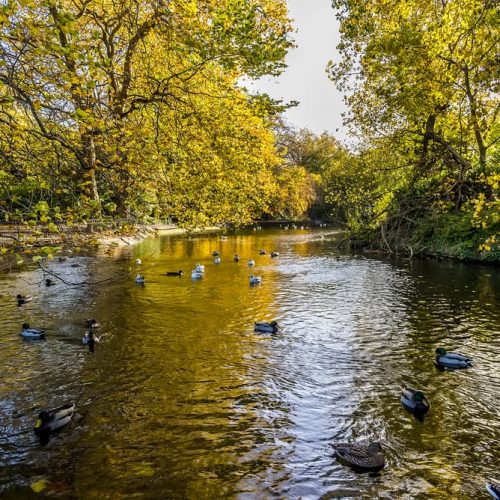 sunny autumn day near Stephen’s Green