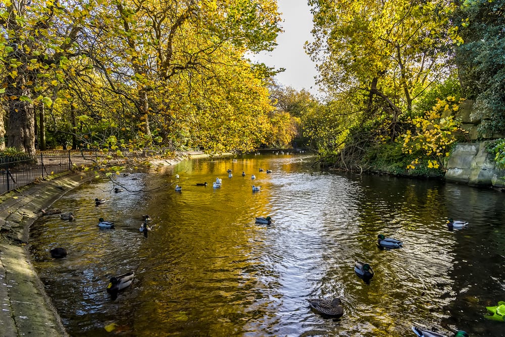 sunny autumn day near Stephen’s Green